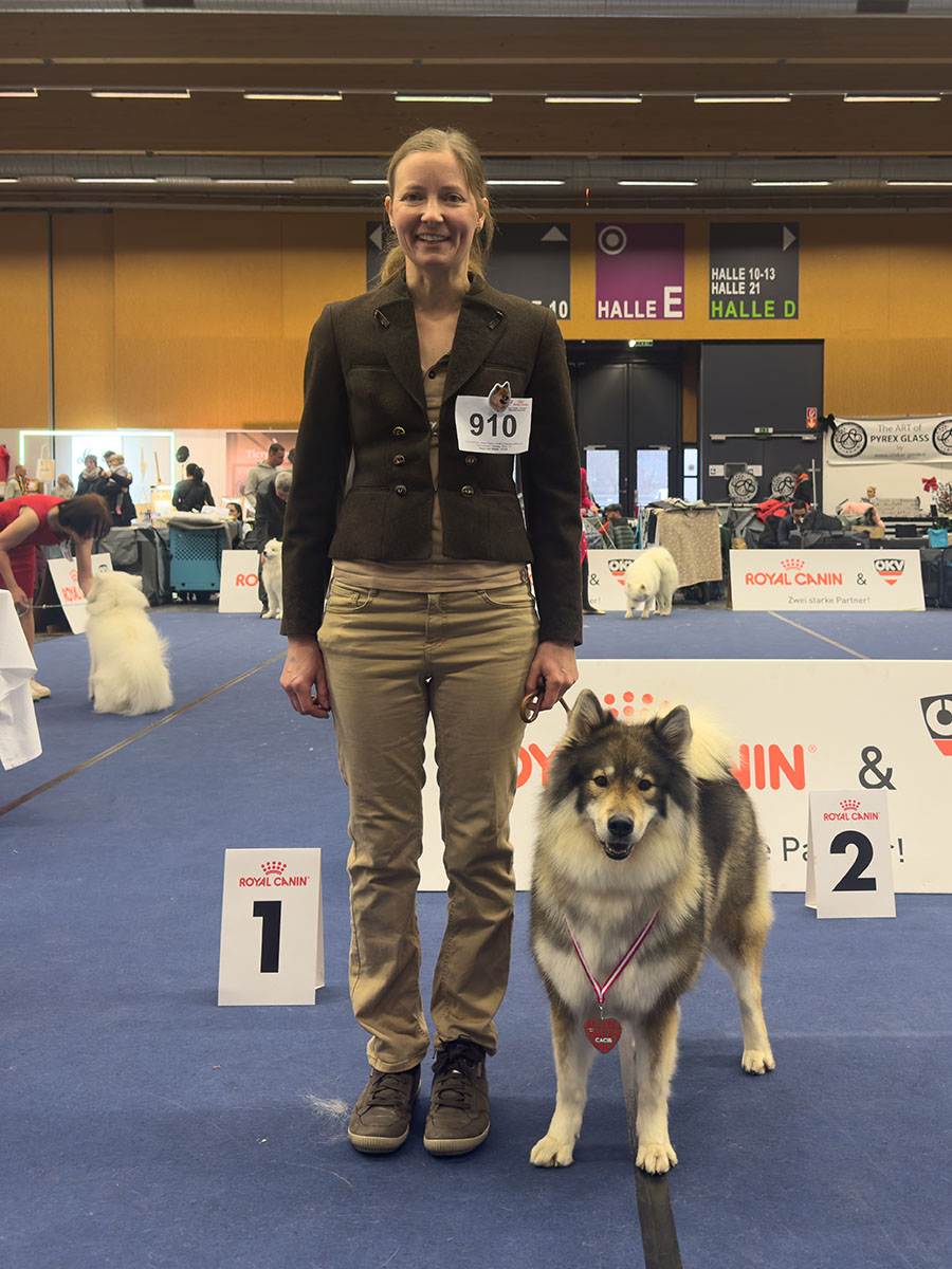 Hündinnen Championklasse