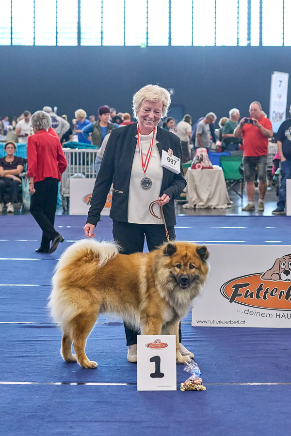 Rüde Championklasse 1. Platz