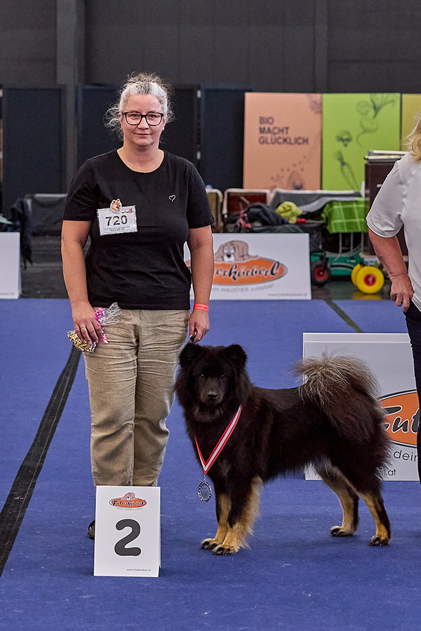 Hündin Offene Klasse 2. Platz