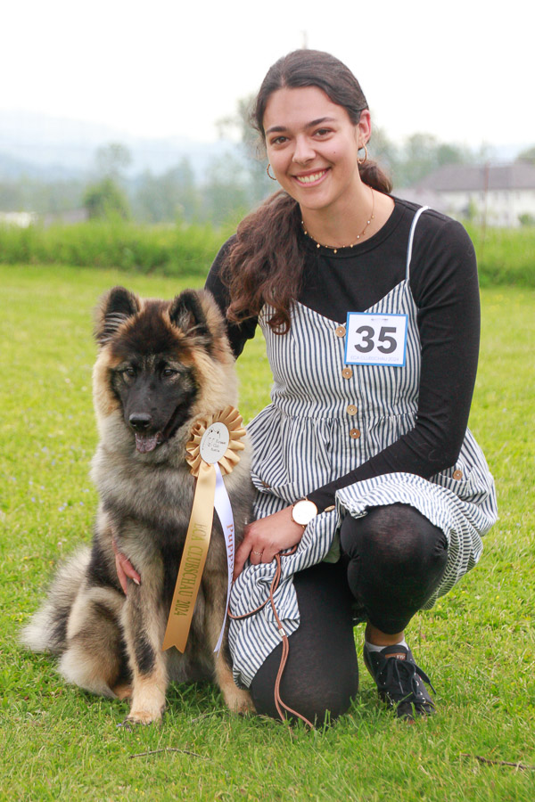 Hündinnen Puppyklasse