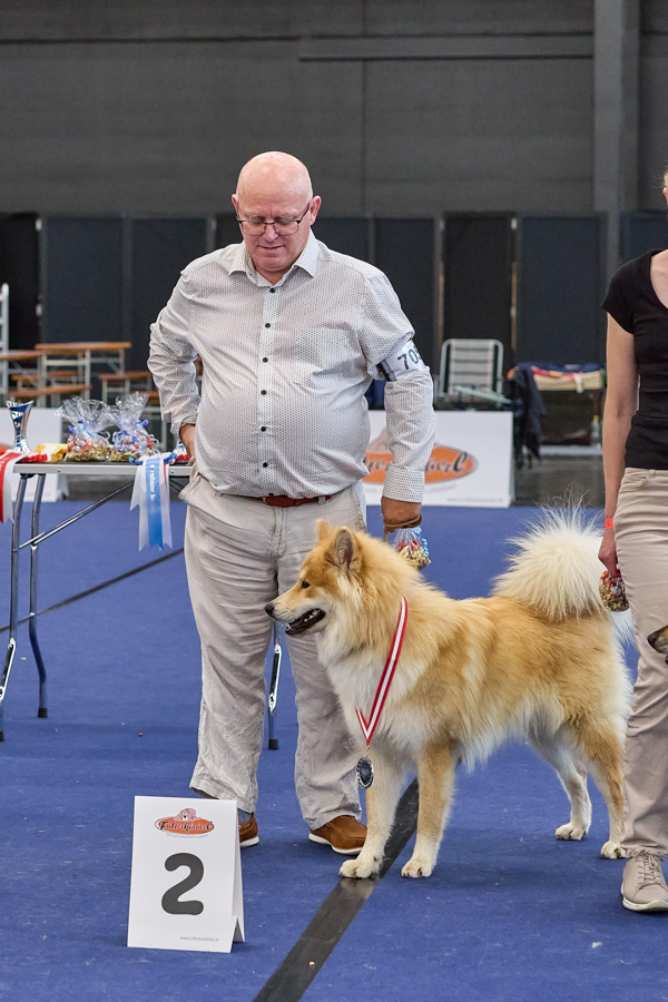 Rüde Jugendklasse 2. Platz