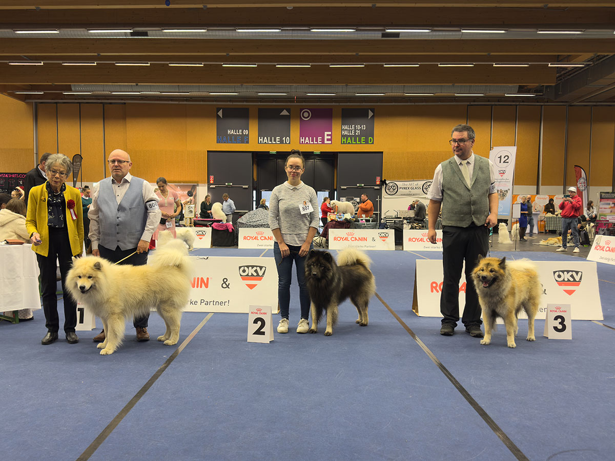 Rüden Championklasse