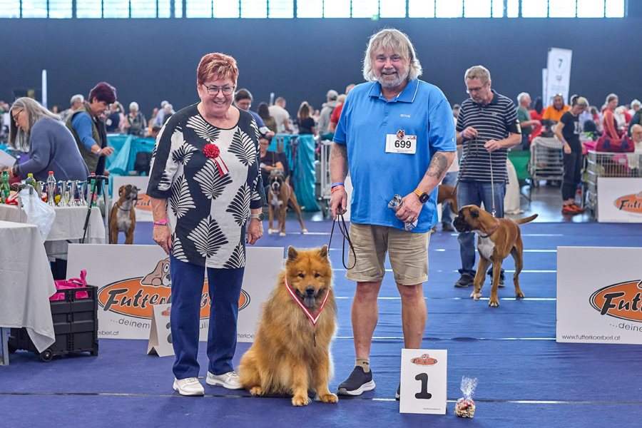 Rüde Veteranenklasse 1. Platz