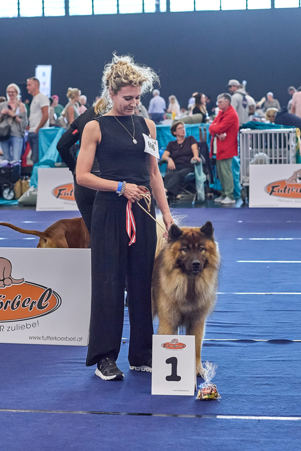 Rüde Offene Klasse 1. Platz