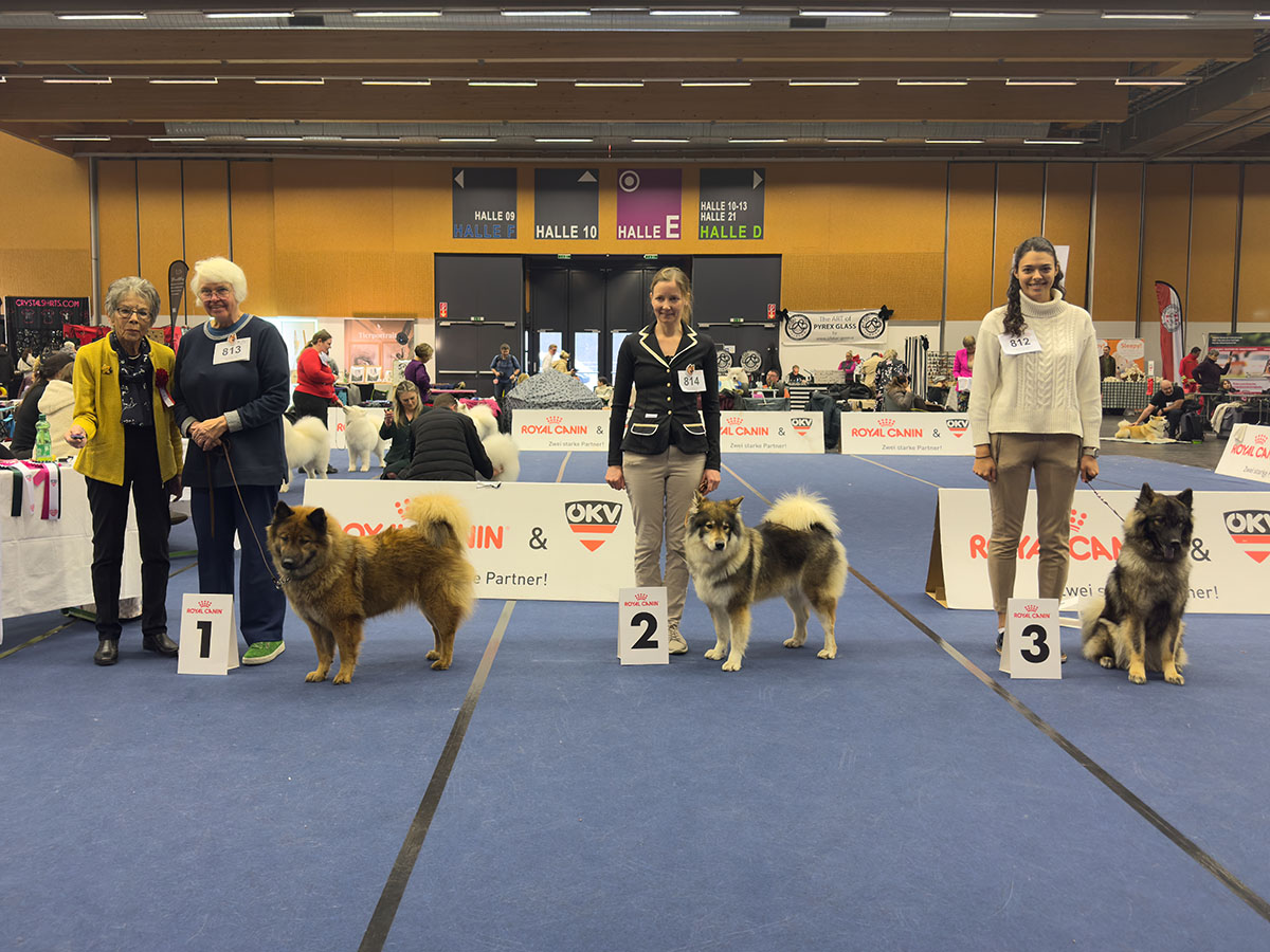 Hündinnen Championklasse