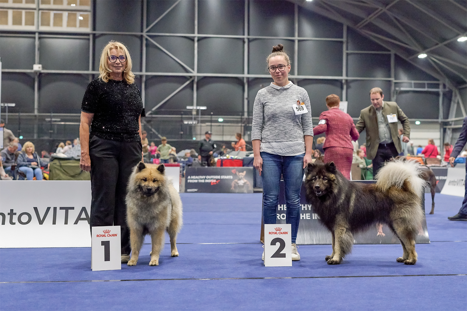 Rüden Championklasse