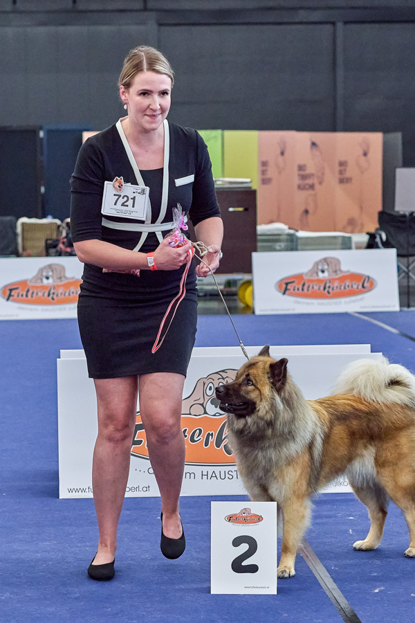 Hündin Championklasse 2. Platz