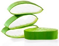 gel aloe vera