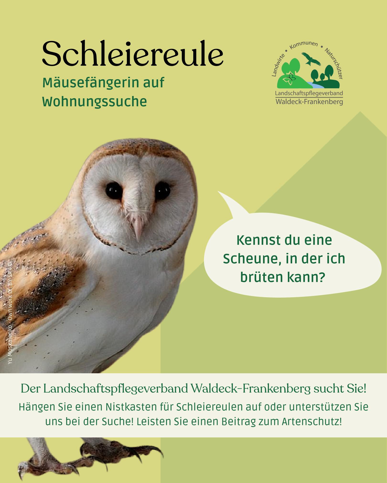 Flyer des Landschaftspflegeverbands mit einem Aufruf geeignete Scheunen zu melden