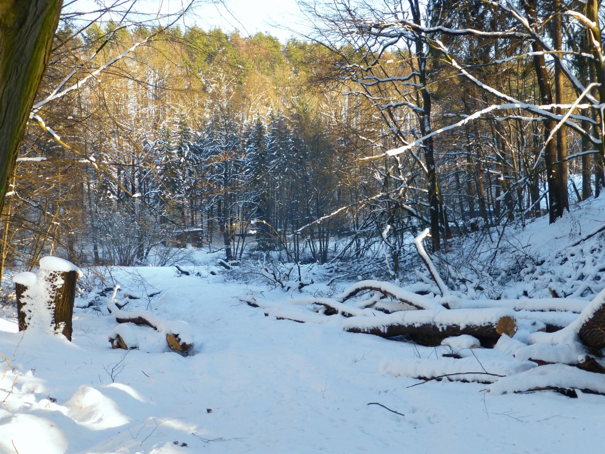 ...auf die große Auslaufwiese am Röderufer, am anderen Ufer rechts die Talmühle