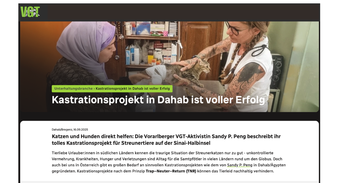 Kastrationsprojekt (TNR), Sinai-Halbinsel