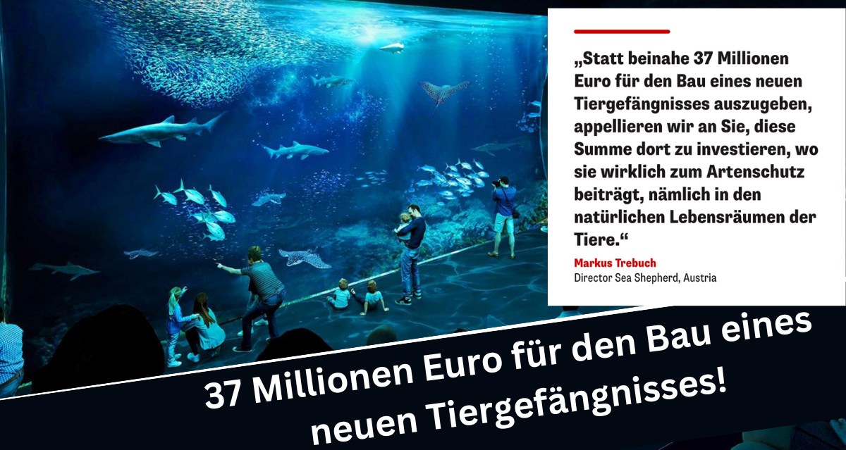 Offener Brief zu den Plänen für das neue "Artenschutz"-Aquarium