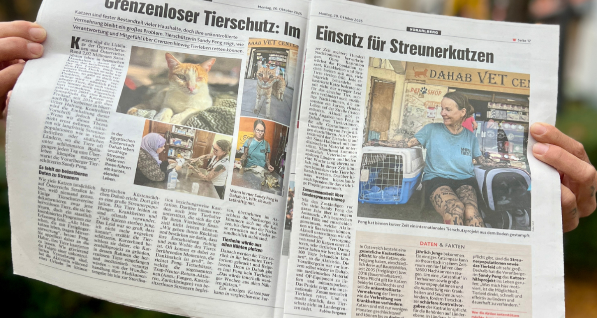 Die "Vorarlberg KRONE" hat über unser Tierschutzprojekt in Dahab berichtet.