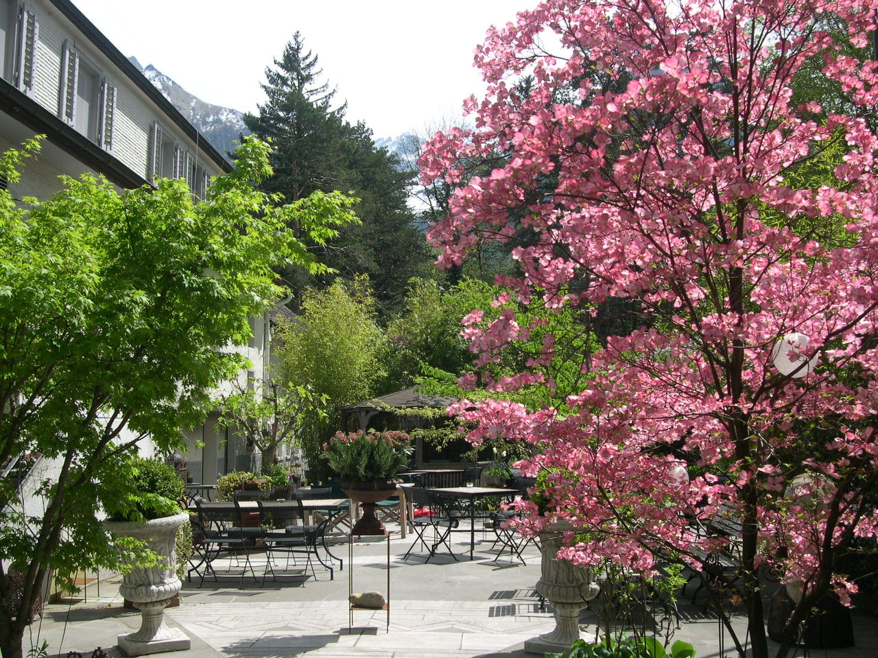 Heuwiese