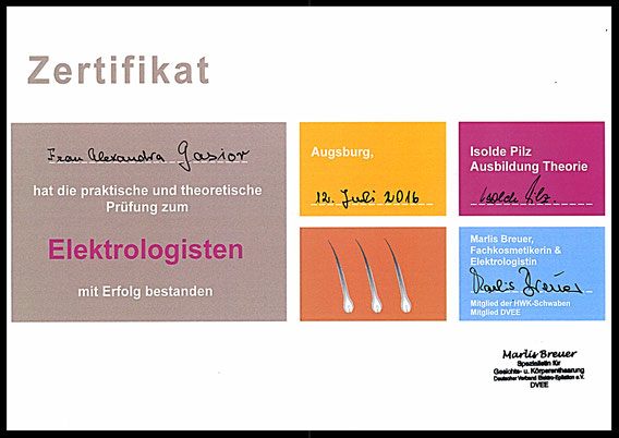 Elektrologisten-Zertifikat 