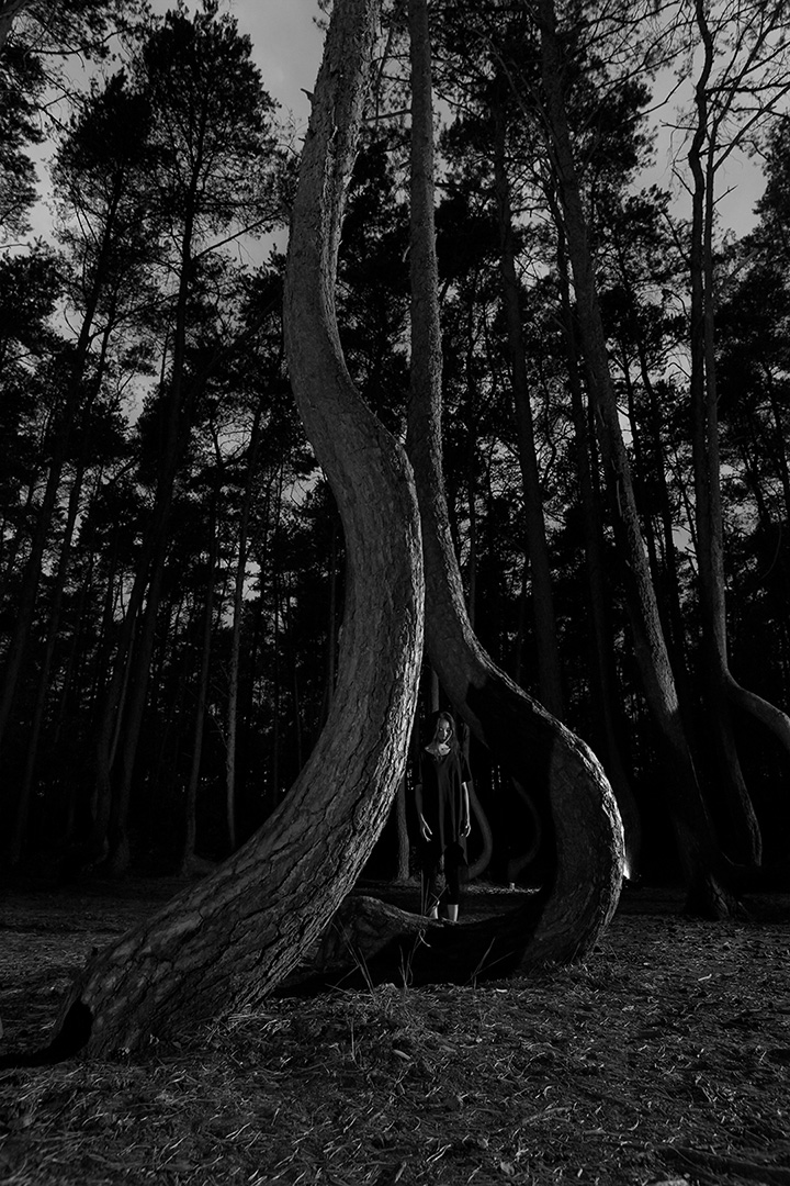 Untitled, 2019 with  Yozy Zhang