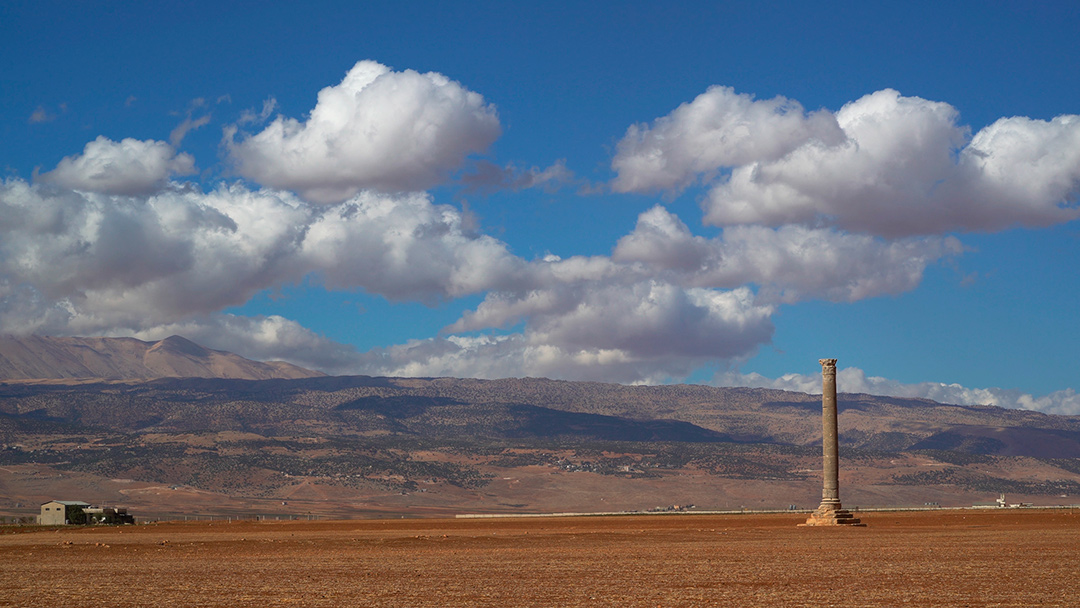 Ian Column, Beqaa Valley,  Lebanon, 2016