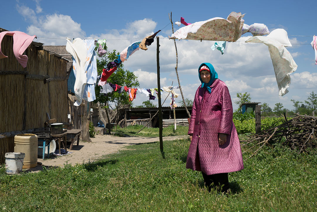 Letea, Romania, 2014