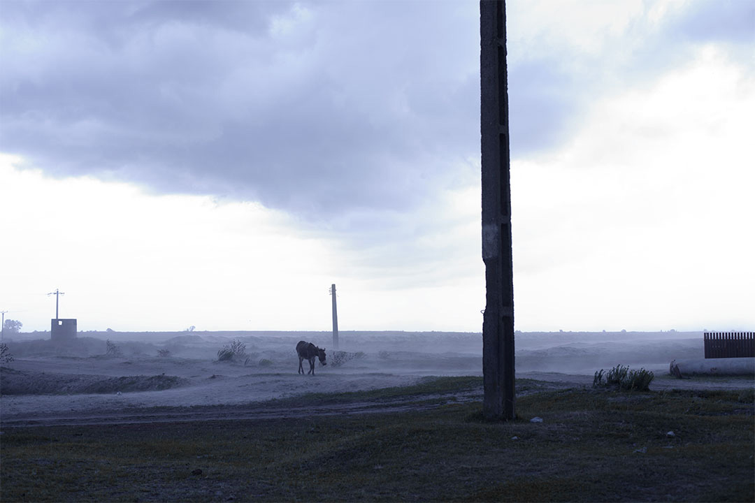 Caraorman, Romania, 2014