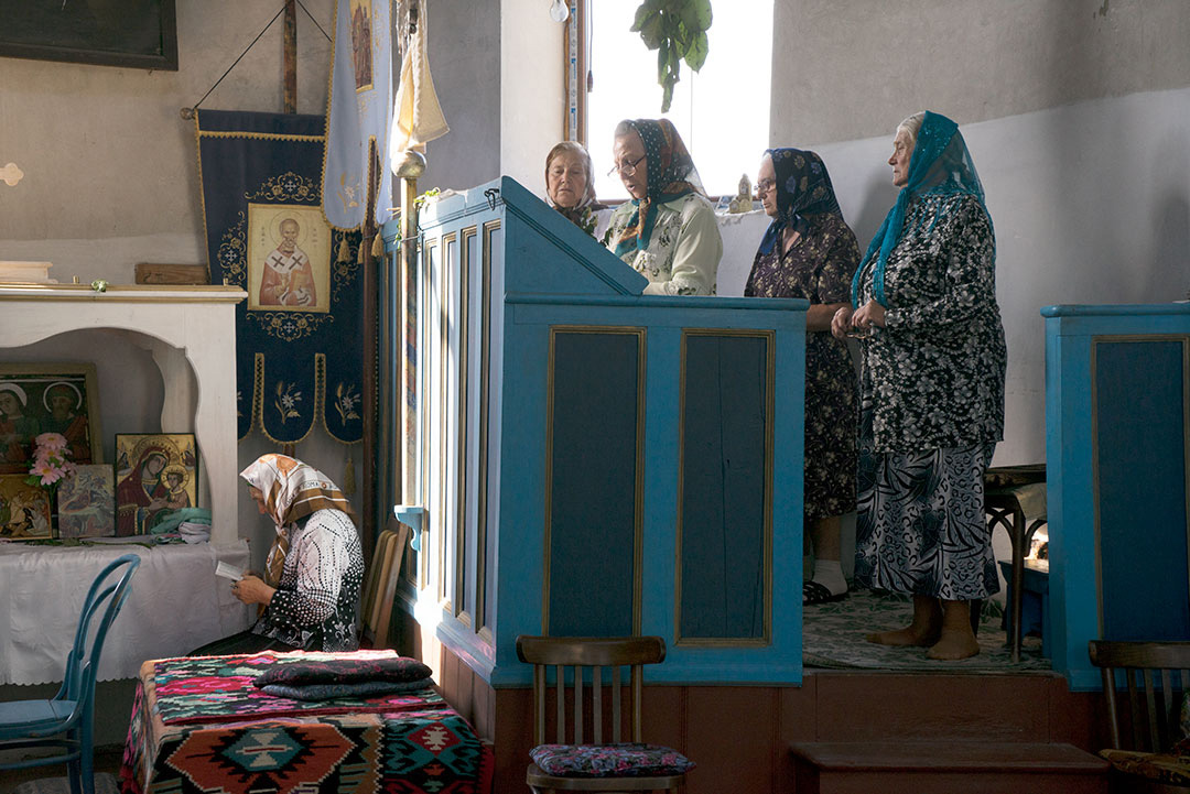 Letea, Romania, 2014