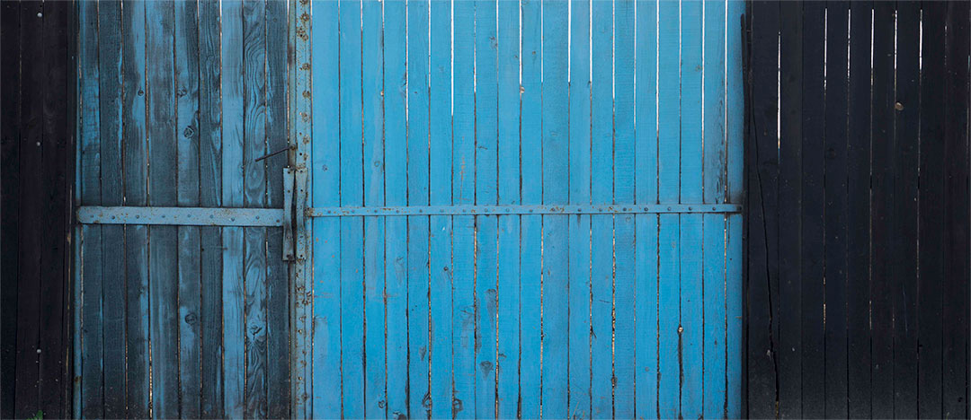 Letea, Romania, 2014