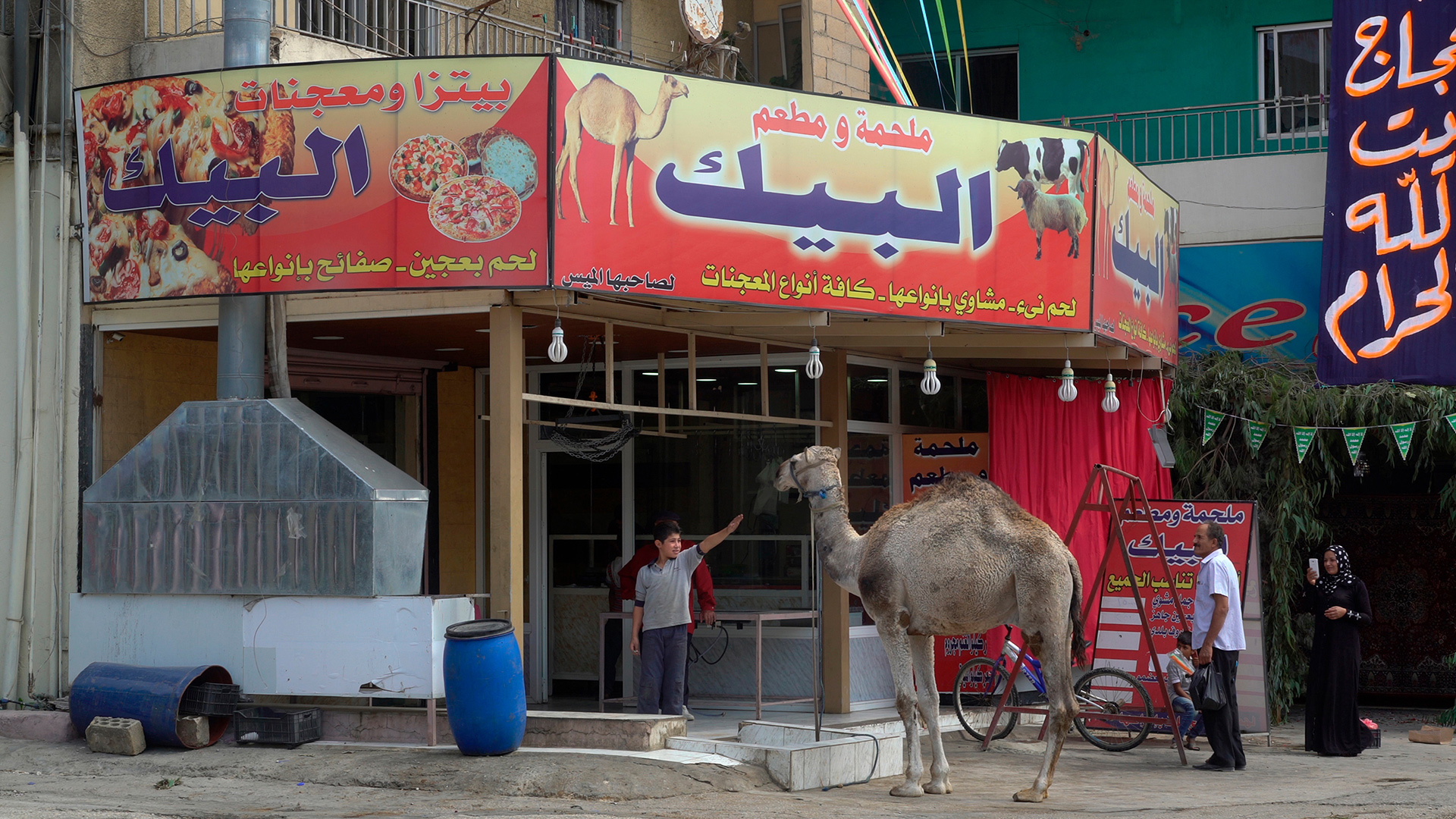 Camel Butcher, Beqaa Valley,  Lebanon, 2016