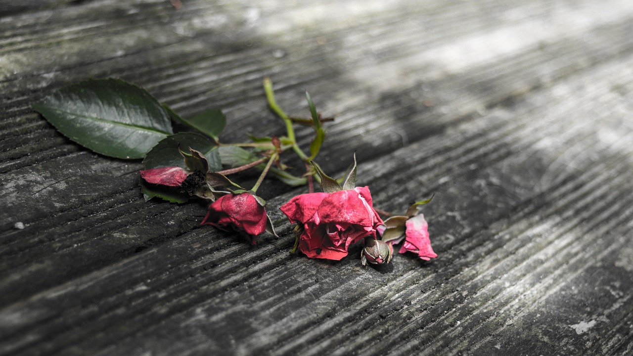 Seelischer Schmerz als Chance