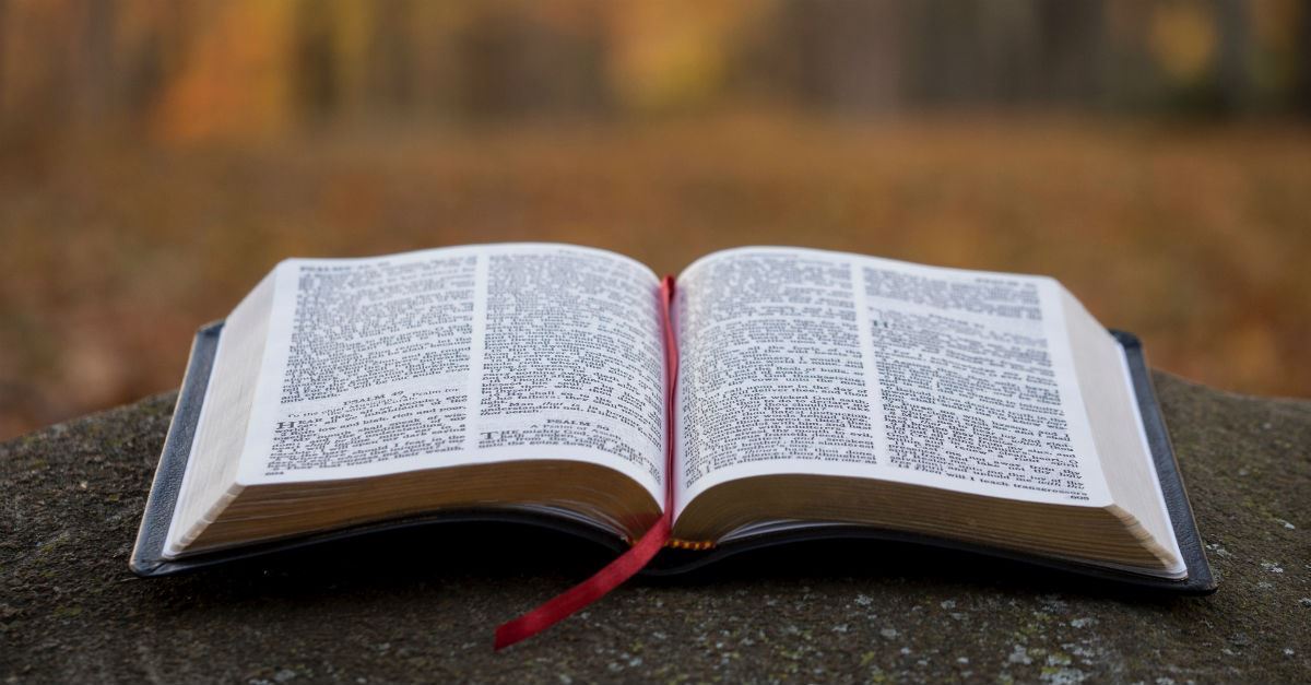 www.biblestudyproject.org