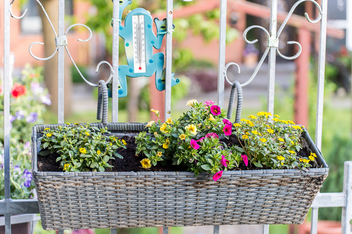 Ein Blick in den Garten