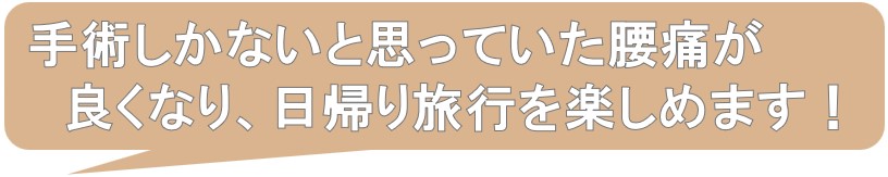 手術しかないと思っていた腰痛がなくなり、日帰り旅行を楽しめます