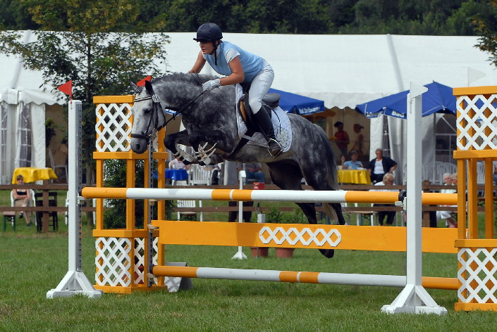 RA 8 - Reitabzeichen Fragen, Basispass, Reitpass, Longierabzeichen
