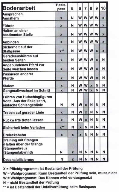 Aufgaben Des Ausbilders Reitabzeichen Fragen Basispass Reitpass Longierabzeichen Anforderungen