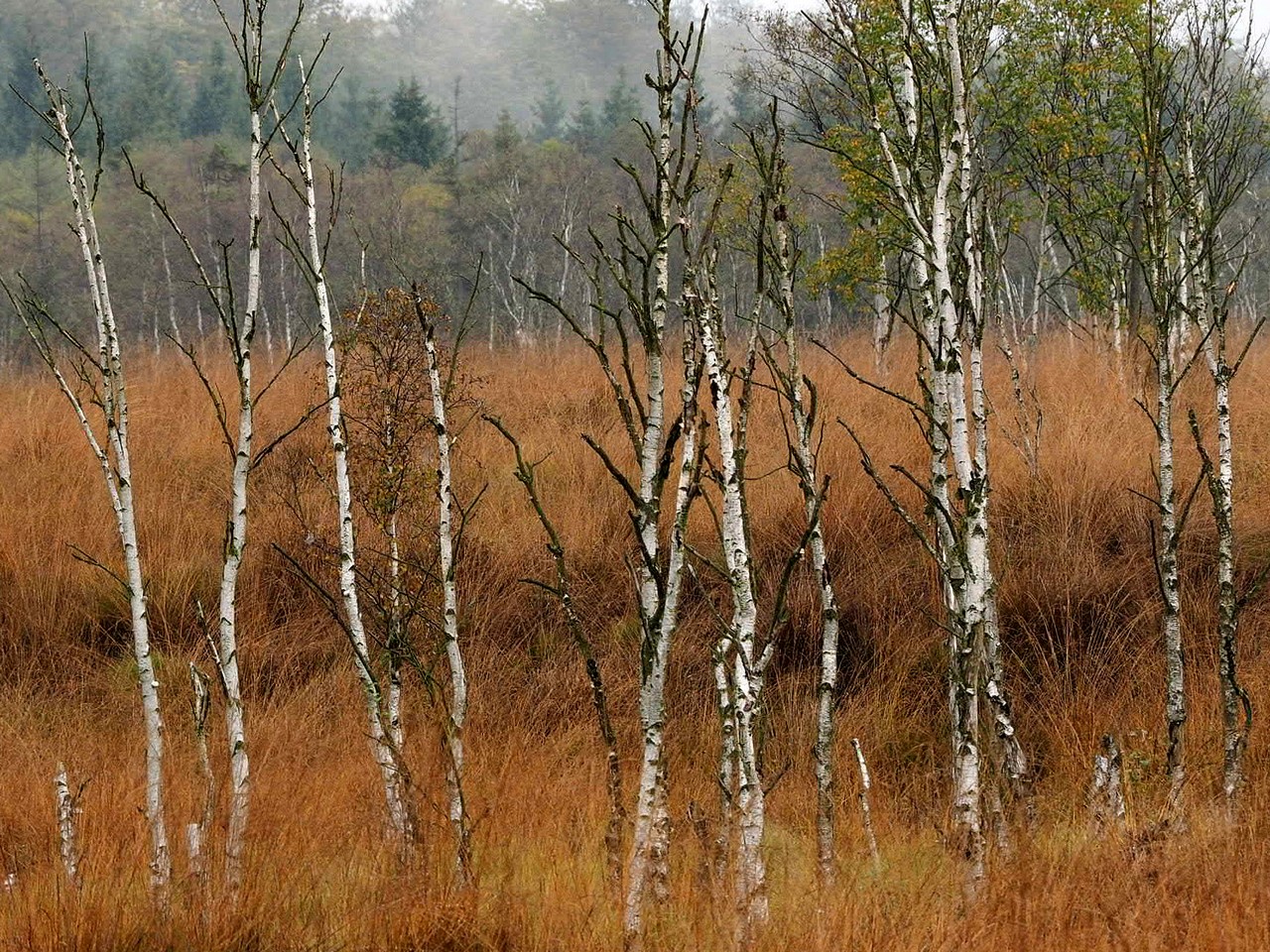 Foto: Ulrich Frischgesell