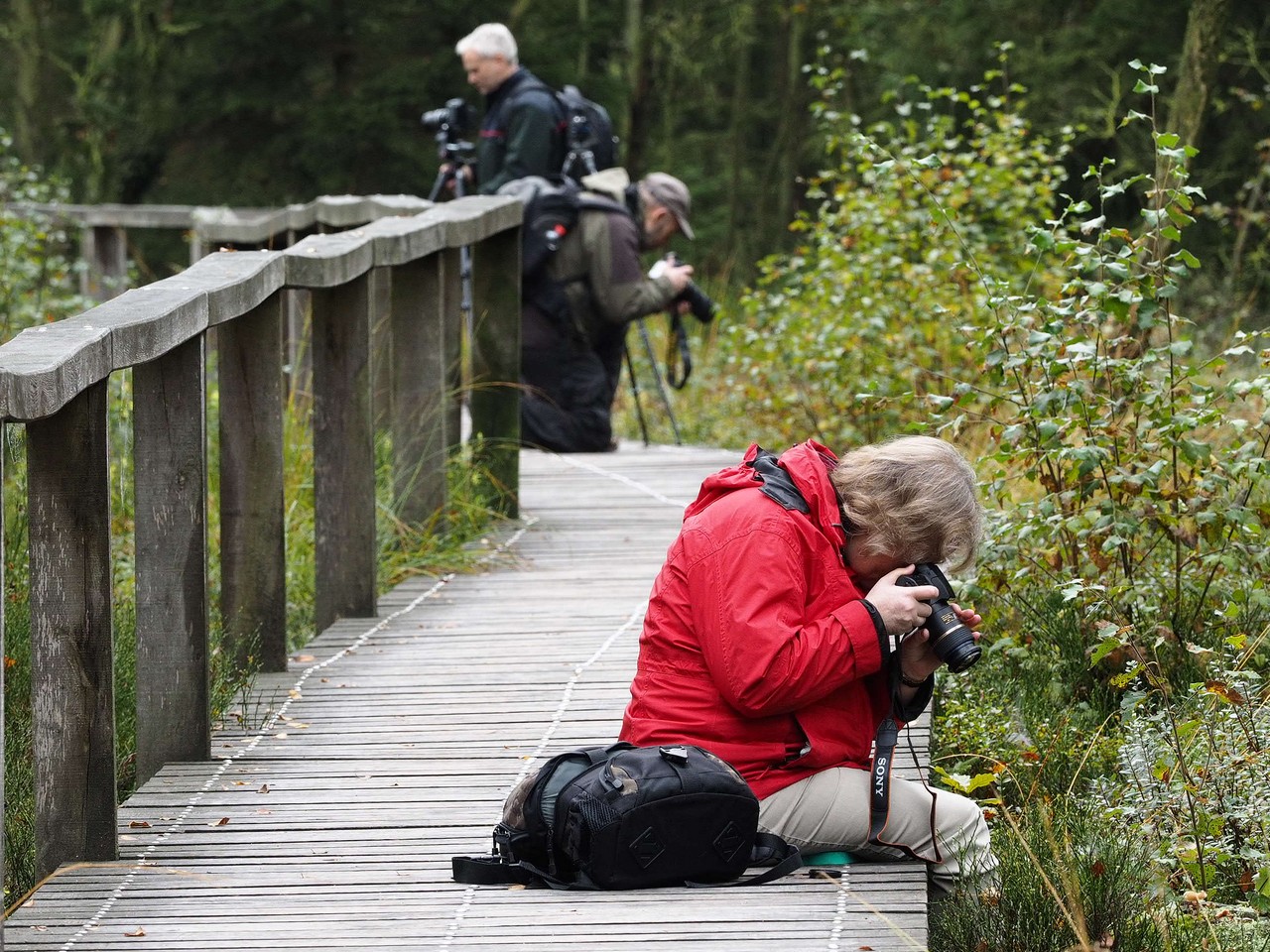 Foto: Ulrich Frischgesell