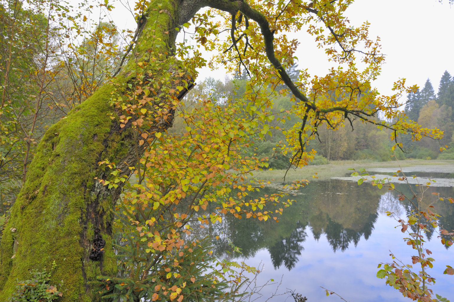 Foto: Hartmut Schrader