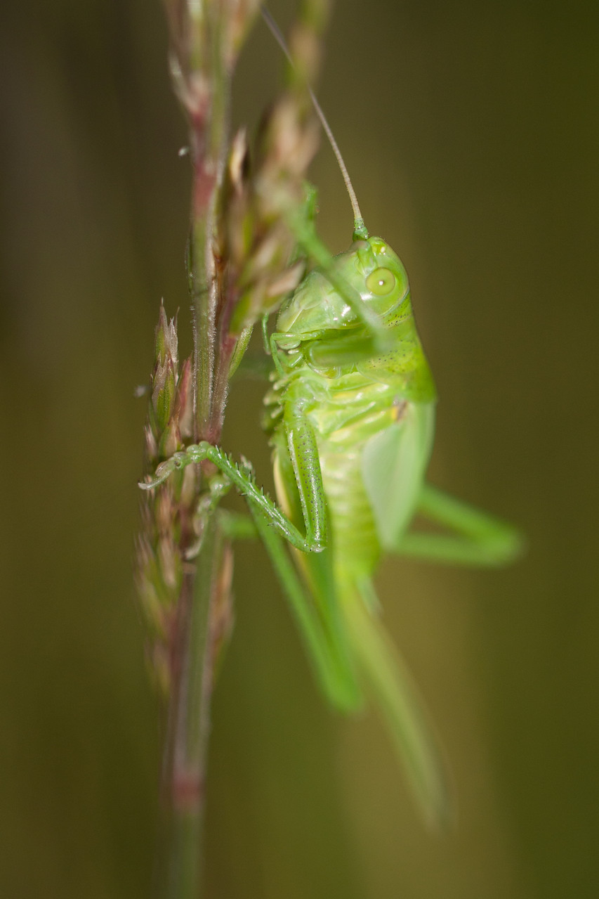 Foto: Stefan Koch