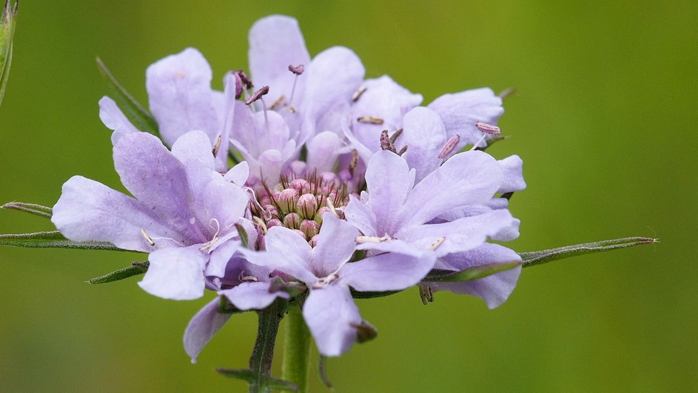 Foto: Ulrich Frischgesell