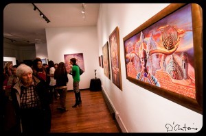 D’Antonio Photography D’Antonio Photography @ Knew Conscious Gallery, CO. USA