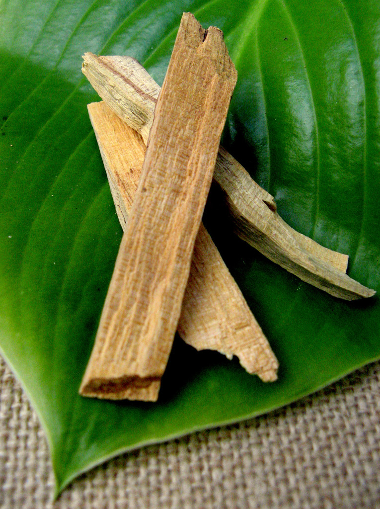 Palo Santo Holy Wood ARTE AMAZONIA provides a global voice through