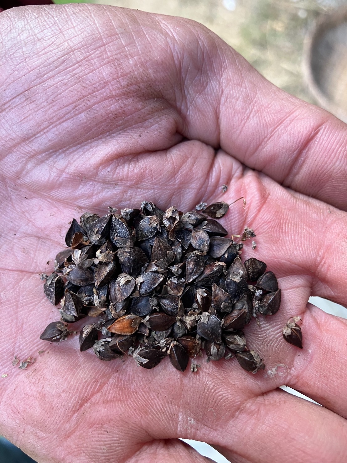 日に日に寒さが増しています