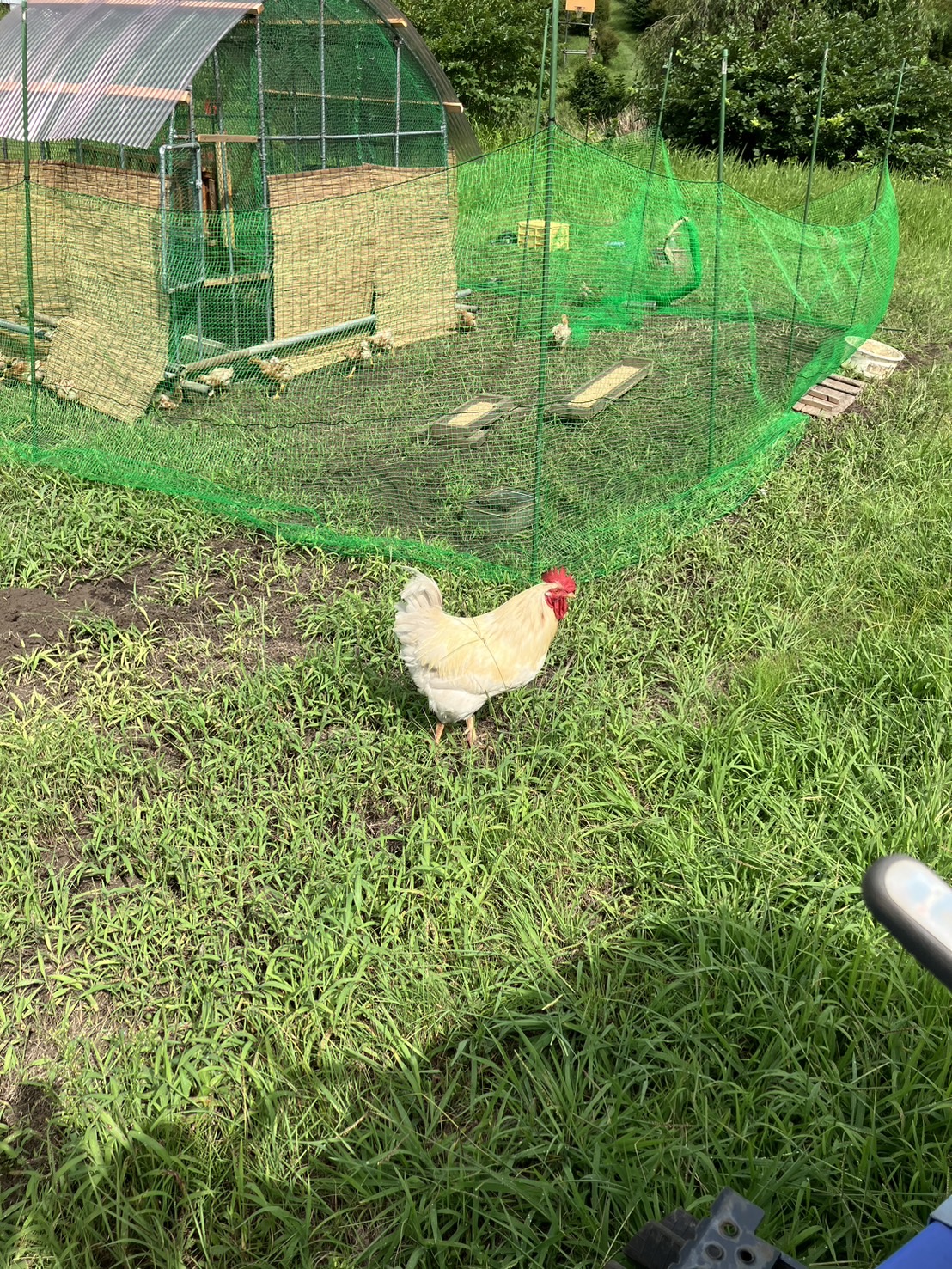 あっという間にお盆も過ぎて