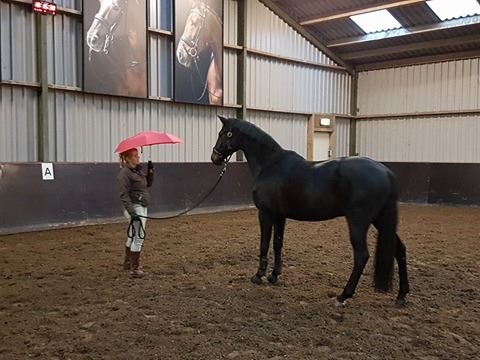 Zelfvertrouwen lichaamstaal