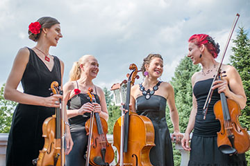 Streichquartett Wien Hochzeit, Streichquartett AMORE