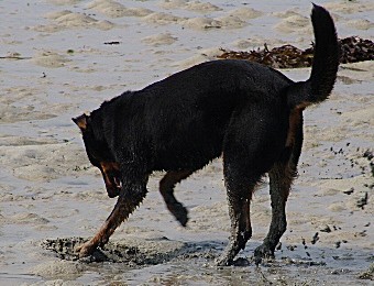 Ich will auch eine...