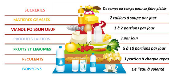 Les bases de la nutrition