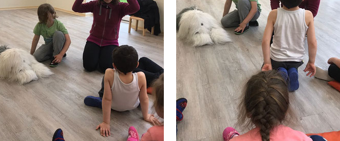 Fremden hund kennenlernen