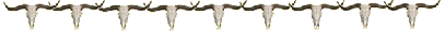 Ferme équestre des Centaurées