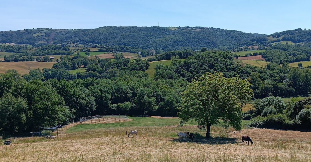 Vue d'ensemble