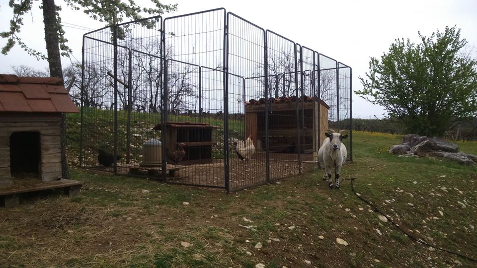 A chacun sa maison...
