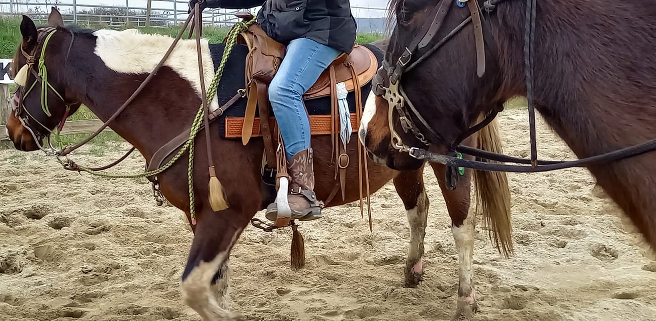 gourmette nylon cuir western équitation ranch bétail